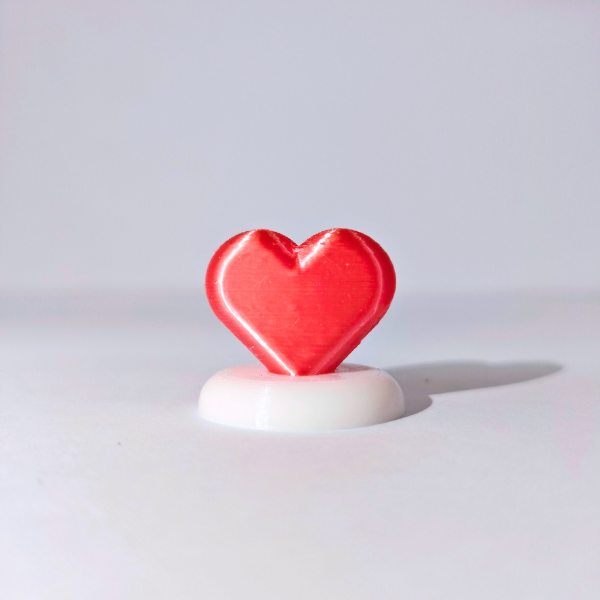 Toploader holder + PC + Toploader